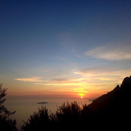L'Uliveto Acomodação com café da manhã Positano Exterior foto