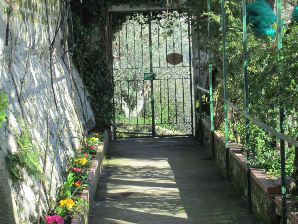 L'Uliveto Acomodação com café da manhã Positano Exterior foto