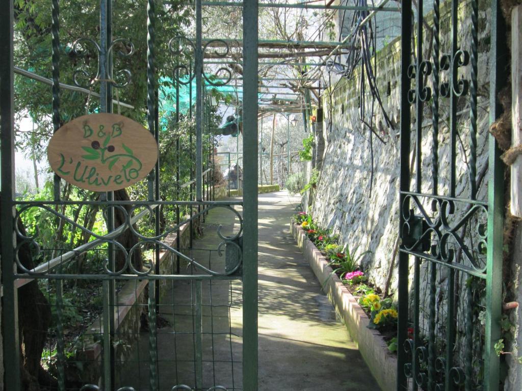L'Uliveto Acomodação com café da manhã Positano Exterior foto