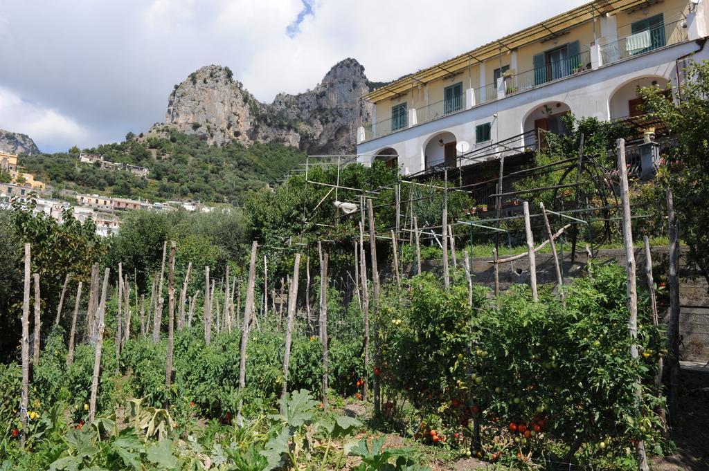 L'Uliveto Acomodação com café da manhã Positano Exterior foto